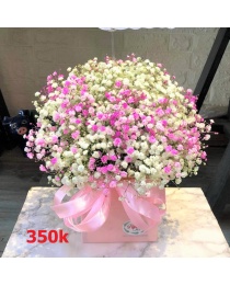 G40. Hộp hoa baby hồng nhỏ cắm 1 mặt (30x25cm)